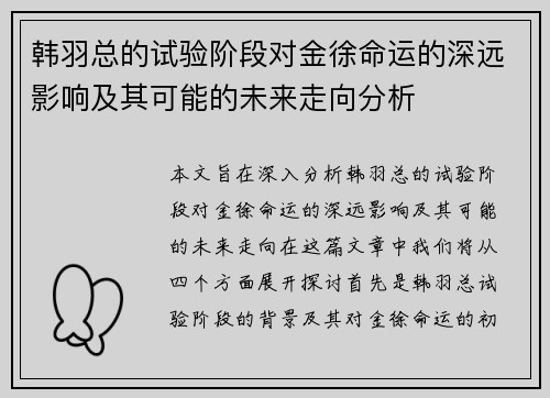 韩羽总的试验阶段对金徐命运的深远影响及其可能的未来走向分析