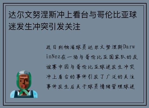 达尔文努涅斯冲上看台与哥伦比亚球迷发生冲突引发关注