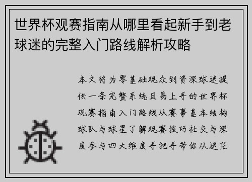 世界杯观赛指南从哪里看起新手到老球迷的完整入门路线解析攻略
